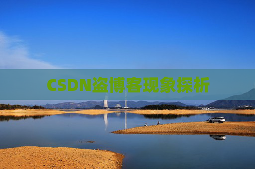 CSDN盗博客现象探析